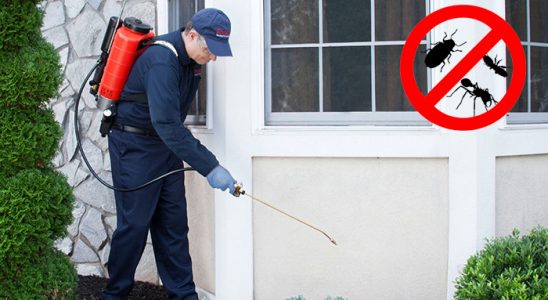 Evka 7 Akrep İlaçlama böcek ilaçlama ve haşere kontrolü — ilaclama-tr.com